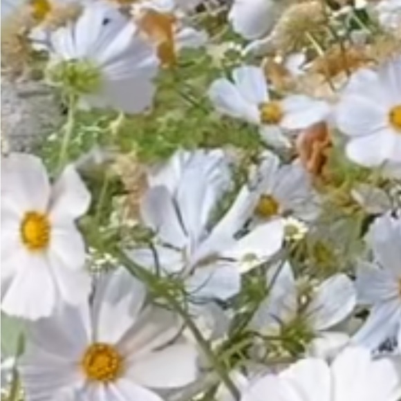 Meet your Posher, Karen - Picture 1 of 1